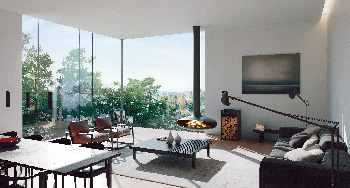 Gyrofocus - version noir